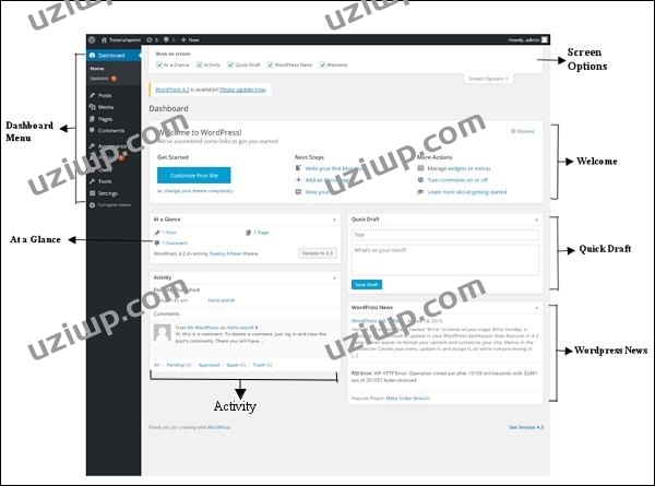 Wordpress Dashboard
