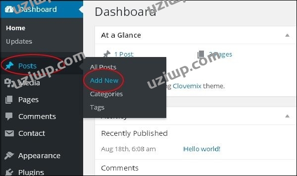 WordPress Publish Posts